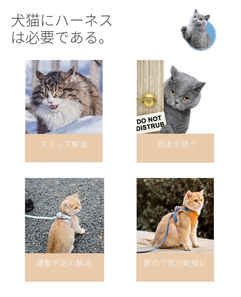 猫用胸当て＆ハーネス＆リードセット ペット胸当て ペットリード 猫用品 ペットグッズ 猫リード【J925】
