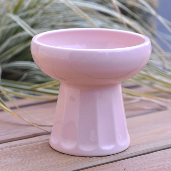 ペット食器 ペット用 ごはん皿 【Made In Japan 見谷陶器】