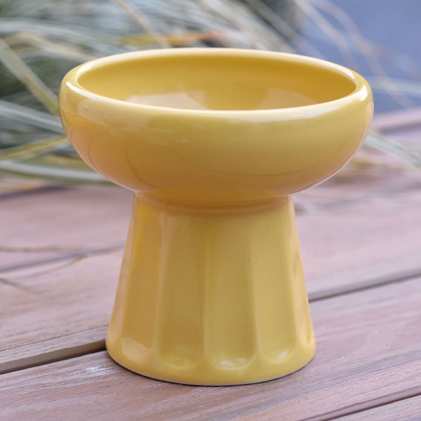ペット食器 ペット用 ごはん皿 【Made In Japan 見谷陶器】