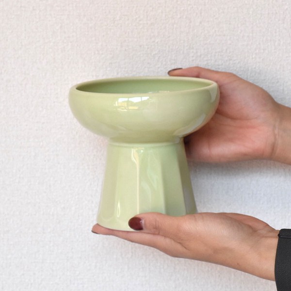 ペット食器 ペット用 ごはん皿 【Made In Japan 見谷陶器】