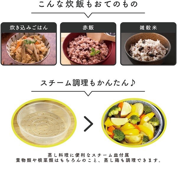 炊飯ジャー 極UMADAKI RM-210H 5合 マイコン式 5つの炊飯コース