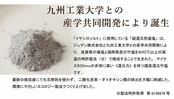 ポケットイヤシロソルト 20g 国産 竹塩 還元塩 持ち運びに便利 携帯用 ミニボトル