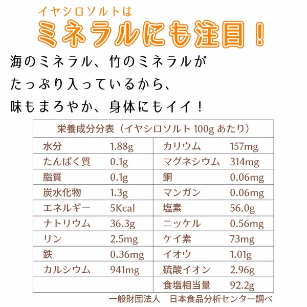 ポケットイヤシロソルト 20g 国産 竹塩 還元塩 持ち運びに便利 携帯用 ミニボトル