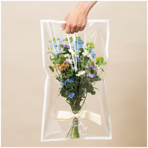 【花袋】デザイン花袋ハンディスクエア　35cm-22cm　50枚入り