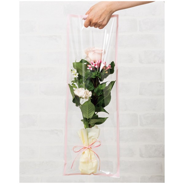 【花袋】デザイン花袋ハンディスクエア　35cm-22cm　50枚入り