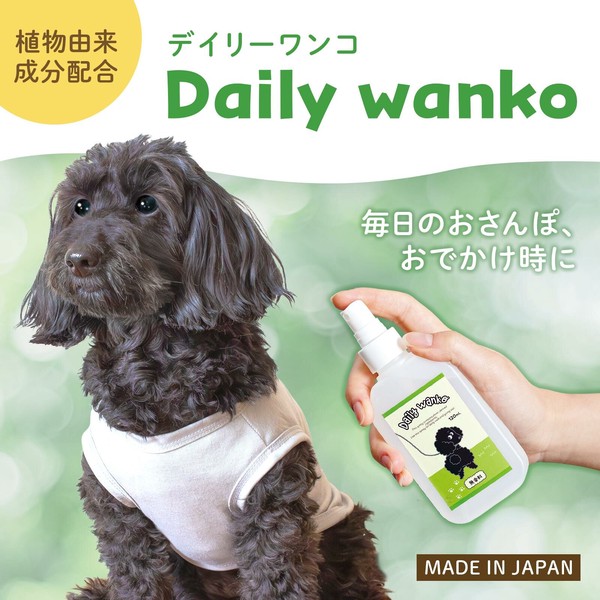 【在庫処分】Daily wanko