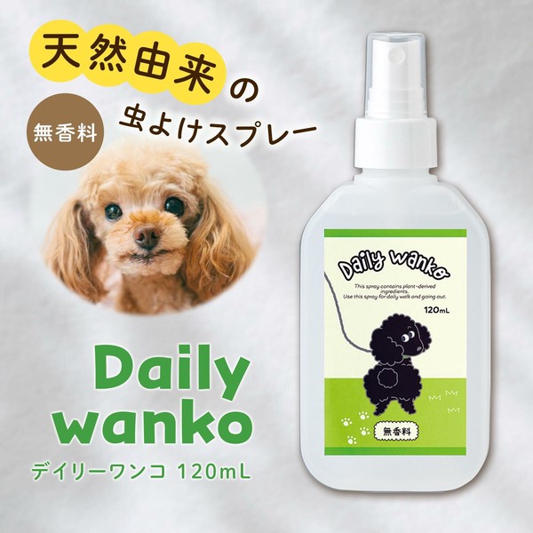 【在庫処分】Daily wanko