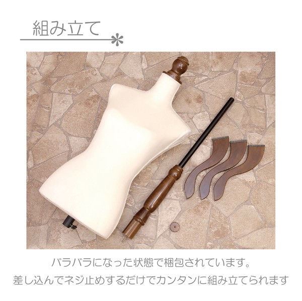 【人気】クラシカル［トルソー］＜ディスプレイ / ヨーロピアン＞