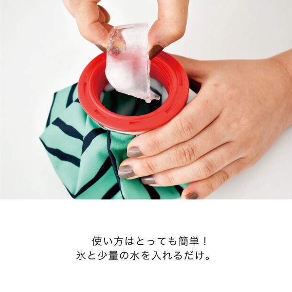 【アイシング】【熱中症対策】スイカ アイスバッグ【2026再入荷】【氷のう】