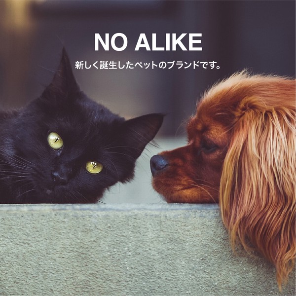 【公式】シービージャパン 抗菌 犬 猫 抗菌ペットローブ NOALIKE