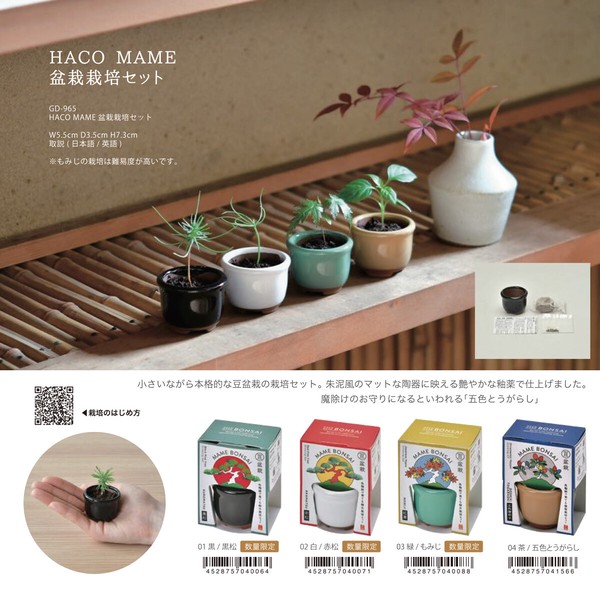 HACO MAME 盆栽栽培セット