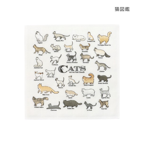かやふきん 動物図鑑【受注生産】