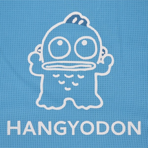 ハンギョドン Tシャツ ハーフパンツ セットアップ 半袖 部屋着 巾着 サンリオ キャラクターズ