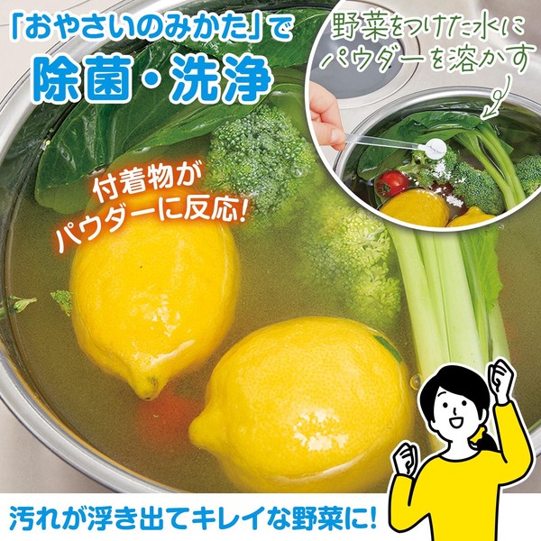 【在庫処分】おやさいのみかた