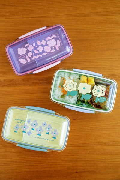 日本製 ランチボックス 弁当箱 ハミングッドランチ／ドームランチ