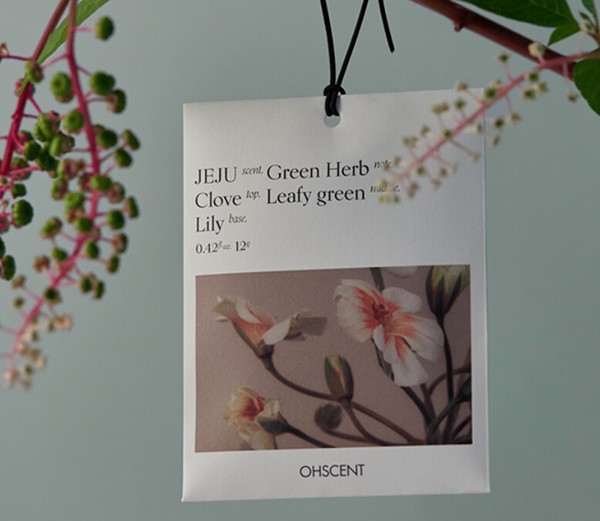 【香水・フレグランス】OHSCENT（オーセント）ジェジュ 12g 韓国コスメ/芳香剤/シトラス