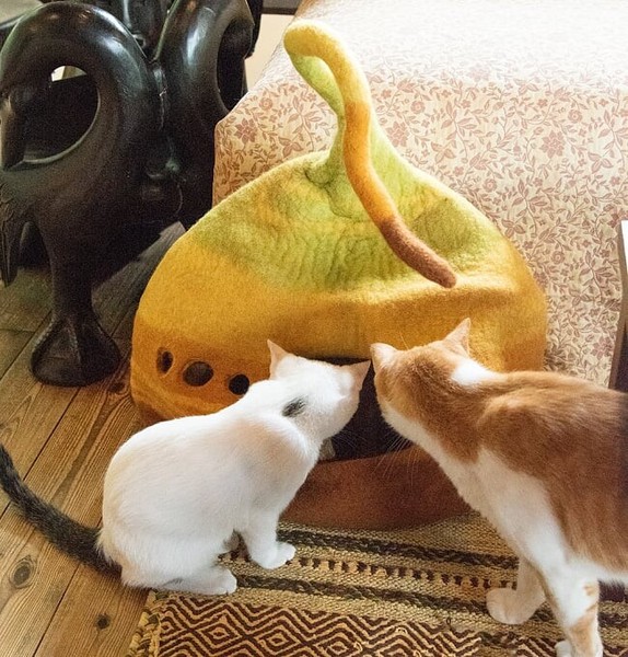 ネパールフェルトのしっぽ付きキャットハウス　猫ハウス