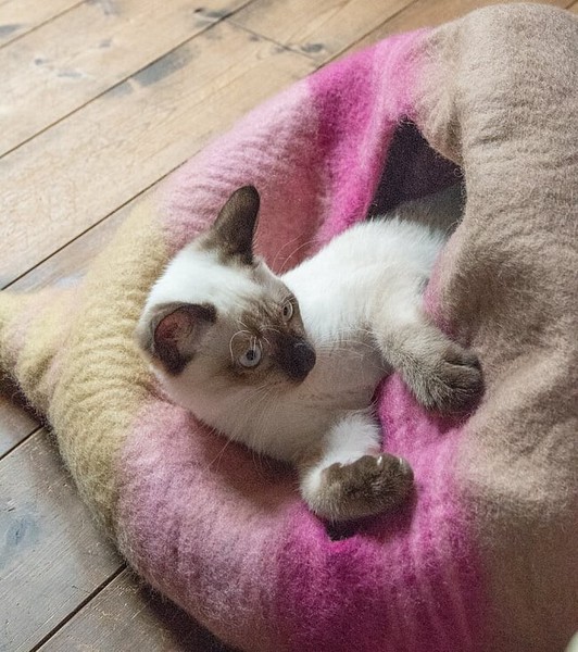 ネパールフェルトのしっぽ付きキャットハウス　猫ハウス
