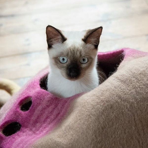 ネパールフェルトのしっぽ付きキャットハウス　猫ハウス