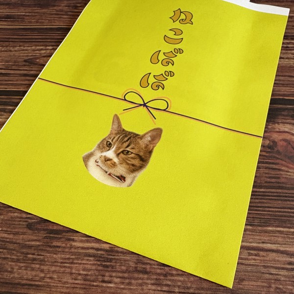 【そでの下同好会】ねこばば袋　平袋　ポチ袋　レトロ