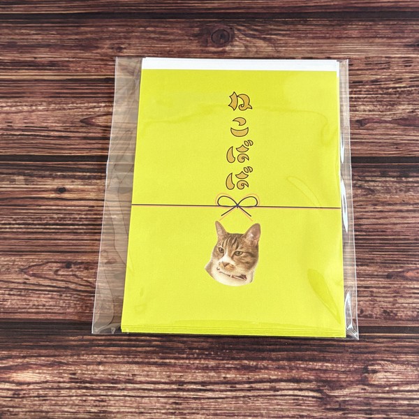 【そでの下同好会】ねこばば袋　平袋　ポチ袋　レトロ