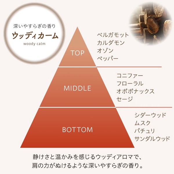 消臭力 トイレのフレッシュミスト RESETTO ウッディカーム 60mL