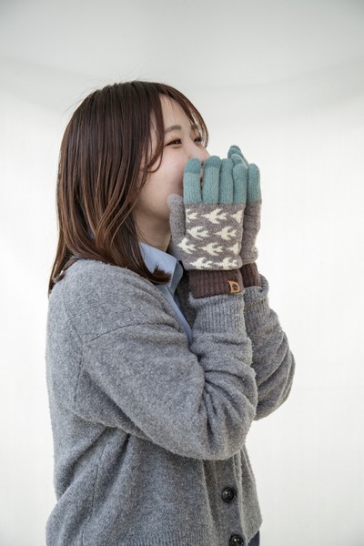 2026秋冬新作予約 日本製 手袋 レディース メンズ ユニセックス フリーサイズ テスタバ／タッチグローブ