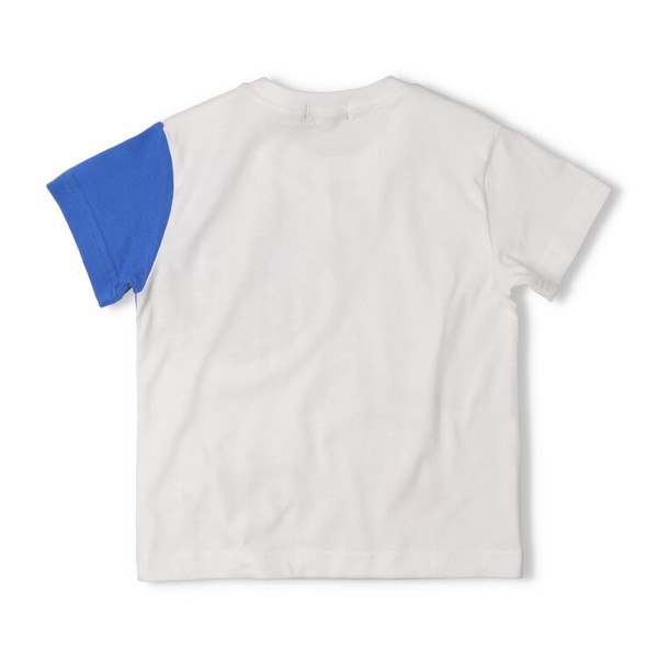 ジンベイザメ半袖Tシャツ  V36896  本体綿100％  海の生き物プリント  魚たちがいる楽しい仕掛け  ギフト