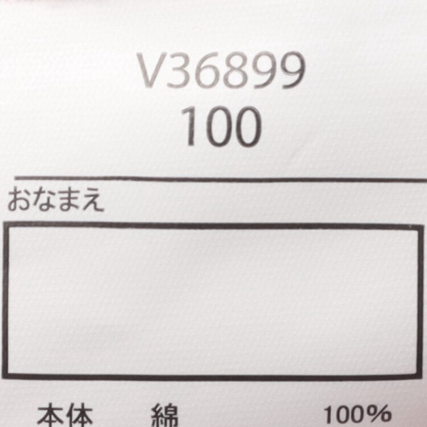 恐竜仕掛け半袖Tシャツ  V36899  本体綿100％  大きなプリント  恐竜が口を開ける仕掛けが楽しい  ギフト