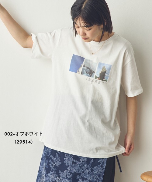 【Saltarse】コットンプリントシャツ