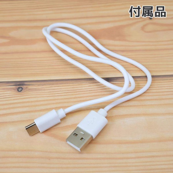 【取寄品】【ハンディ扇風機】ムーミン 冷却プレート付ハンディファン ねこといっしょ