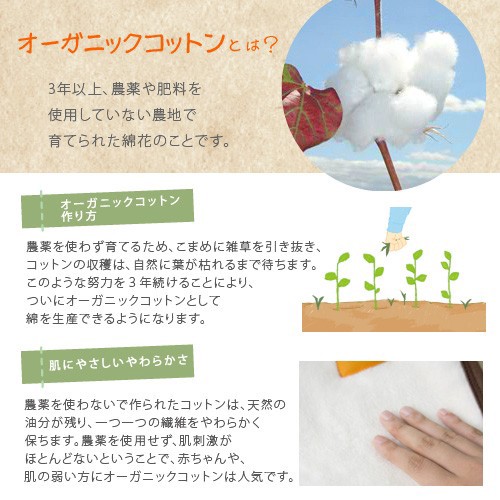 【直送可】【ベビー布団】ソレイユ　オーガニック　ベビーふとん8点セット　日本製