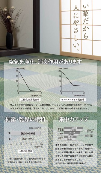 い草ラグ 花ござ カーペット ラグ 格子柄 市松柄 『ピーア』
