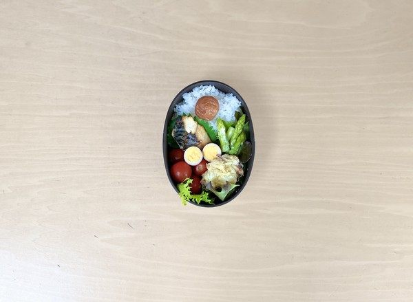 日本製 弁当箱 抗菌 食洗機対応 レンジ 520ml わっぱ／小判型ランチ
