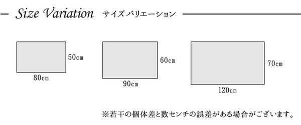 玄関マット ウィルトン 抗菌防臭 消臭機能 へたりにくい『パレット　玄関マット』
