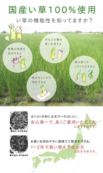 ラグ 国産 い草 カーペット ふっくら ボリューム 『F市松和紋』