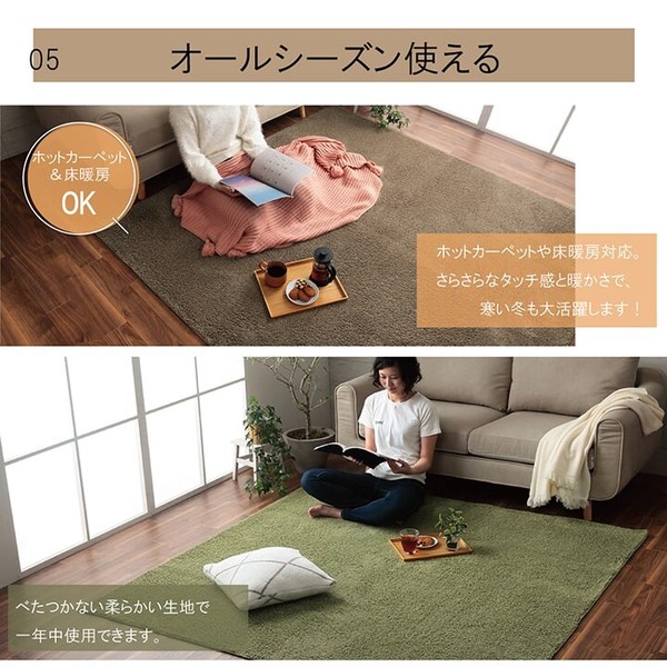 【2021秋冬】 ラグ オシャレ ナチュラル 洗える コンパクト 床暖房 ホットカーペット対応 『プリーム』